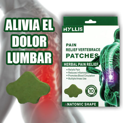 Parches Herbales para Dolores Musculares