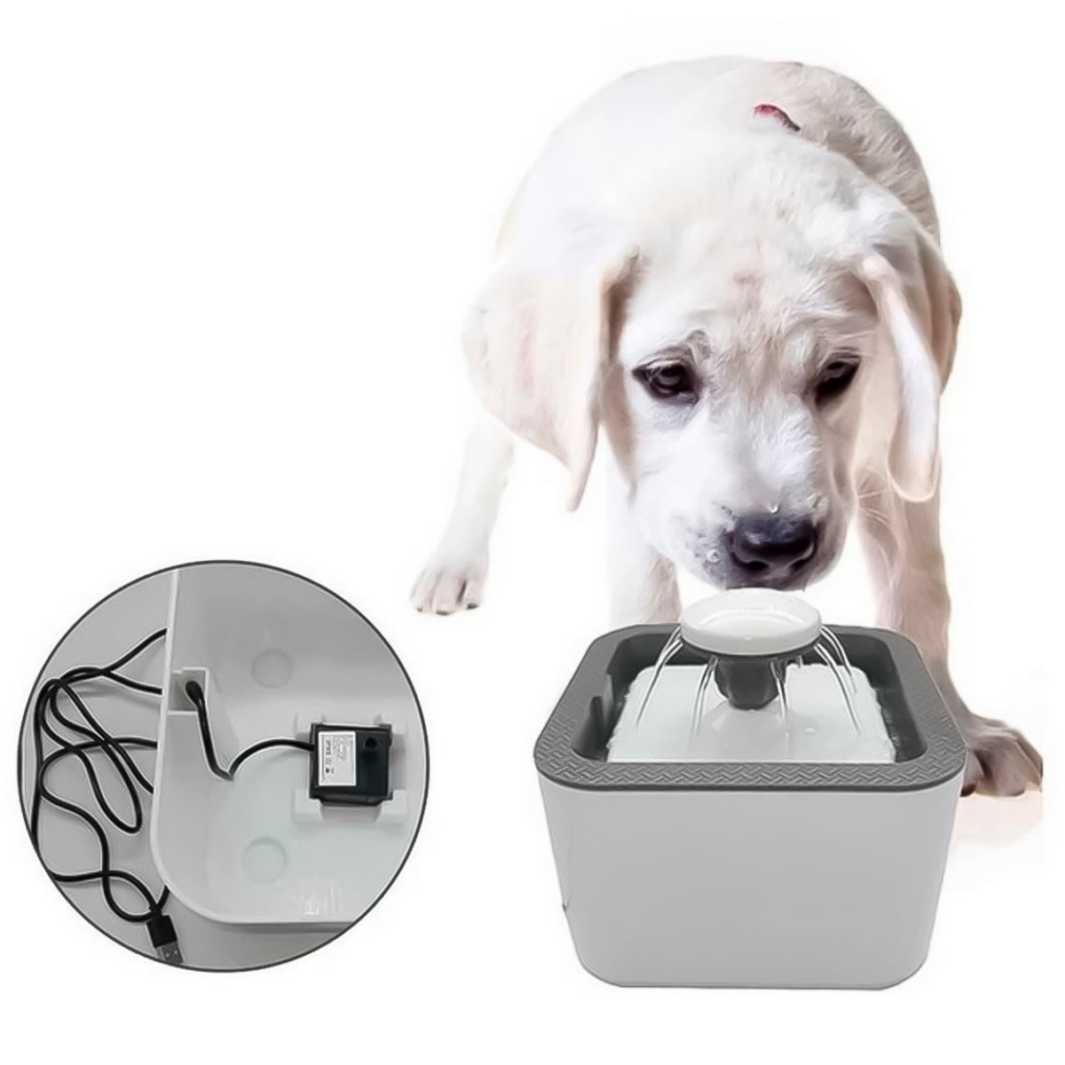 Fuente de Agua Automática 2.5L - vista 3