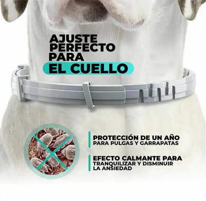 Collar Antiparasitario para Perros y Gatos