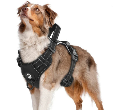 Arnés LED Antitirones Recargable para Perros