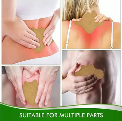Parches Herbales Lumbares y Cervicales
